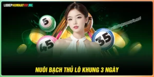 Nuôi Bạch Thủ Lô khung 3 ngày - Nuôi chuẩn tuyệt đối dễ ăn tiền