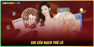 Soi cầu Bạch Thủ Lô - Kỹ thuật chốt số thắng lớn