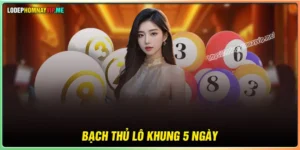 Bạch thủ lô nuôi khung 5 ngày - Bí quyết ăn liên tục 10 năm kinh nghiệm